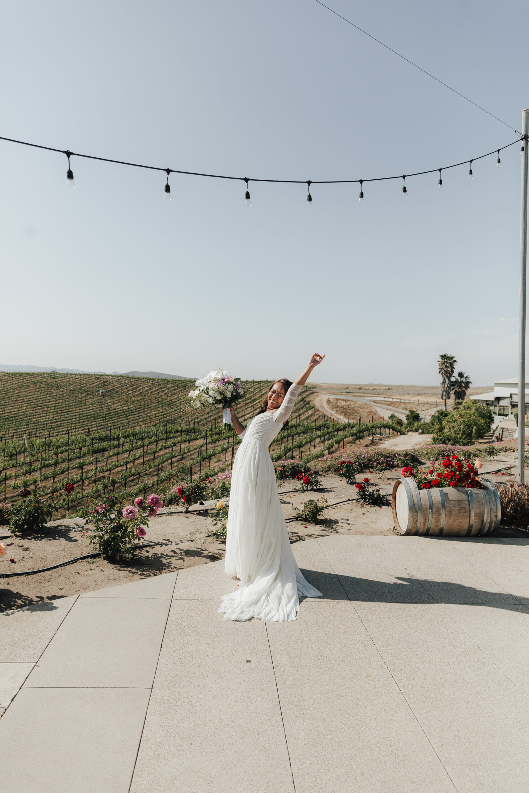 Mitten in Weinreben im Callaway Weingut in Kalifornien